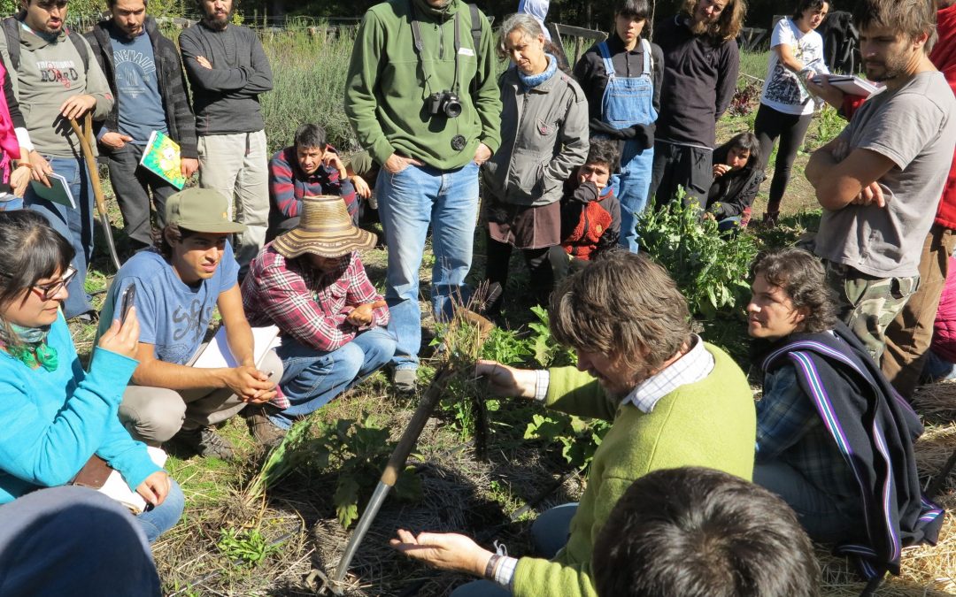 Equipo de investigadores y profesionales del Centro Ceres, se capacitó en agricultura regenerativa y de diseño integral de predios en Región del BioBio.