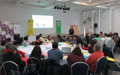 Potenciando el Capital Social y redes de Innovación para la Sustentabilidad del Patrimonio Apícola: Talleres territoriales y regionales.