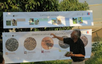 El Programa de Restauración Biológica de suelos del Centro Ceres lanza manual sobre la determinación de la condición biológica de suelo en los sistemas agrícolas