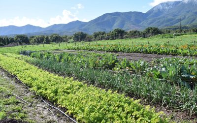 CORE Valparaíso aprueba proyecto de red de núcleos regionales en horticultura ecológica