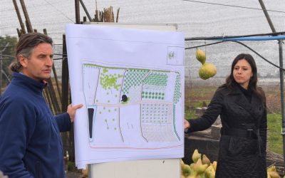 Centro Ceres estrecha relación con equipos técnicos de PRODESAL e INDAP en Jornada de Familiarización