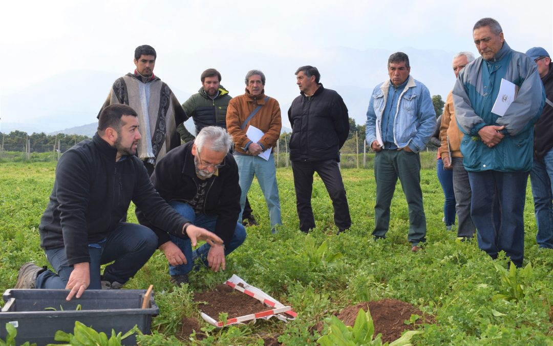 Centro Ceres realiza taller de biodiversidad y restauración biológica de suelos a agricultores de SAT INDAP