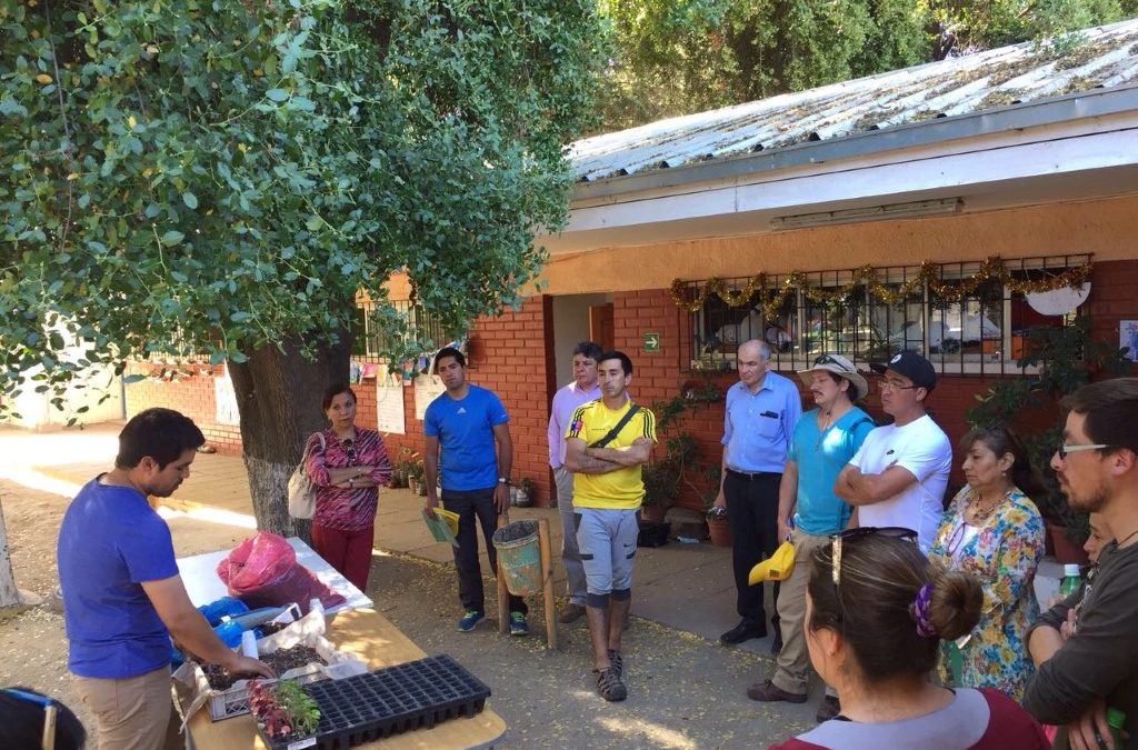 Centro Ceres promueve la alimentación saludable y el aprendizaje en la naturaleza conformando una red de huertos escolares y comunitarios en Hijuelas.