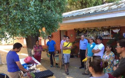 Centro Ceres promueve la alimentación saludable y el aprendizaje en la naturaleza conformando una red de huertos escolares y comunitarios en Hijuelas.