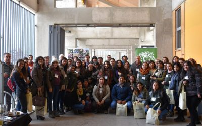 Programa Manejo Territorial de Insectos realiza Seminario-Taller sobre desarrollo de herramientas para la reducción programada de agroquímicos.