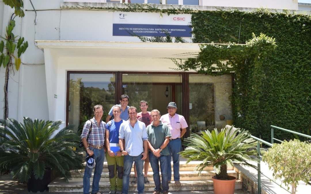 Equipo de Ceres realiza gira tecnológica a las principales zonas de producción natural de chirimoyas de España.