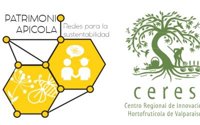 Se realiza la primera reunión de Comité de Coordinación Regional del proyecto adjudicado por el Programa Manejo Territorial de Insectos, relacionado a las redes de innovación en el sector apícola.