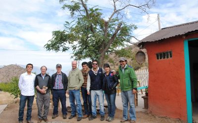 Investigadores de la institución del Reino Unido, F3The Local FoodConsultants, visitan el Centro Ceres para trabajar en un proyecto para la creación de una Unidad de Emprendimiento Rural.