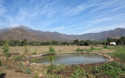 Implementación de la Unidad demostrativa agroecológica de Ceres.