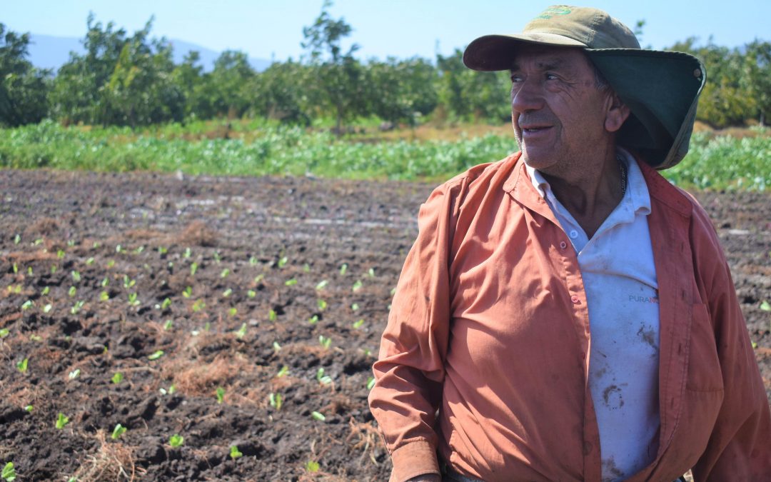 Pequeño agricultor liderará nuevo núcleo de aprendizaje participativo en Quillota