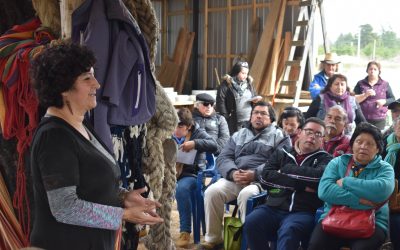 Lilian Vásquez, lidereza NAP Algarrobo: “Este proyecto busca que la gente no se enferme, eso es llegar a una agricultura limpia”