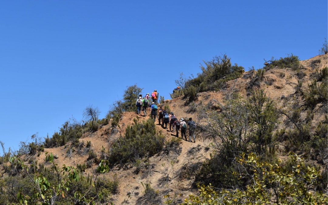 XXI Jornada de Biogeografía fortalece lazo colaborativo entre investigadores internacionales y nacionales