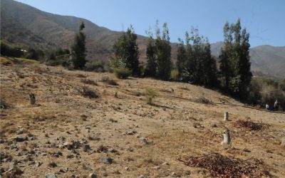 Programa PTDR desarrolla estrategia de restauración ecológica con enfoque geomorfológico para laderas degradadas