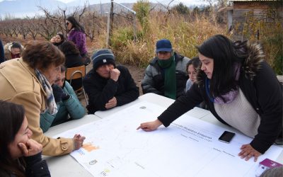 Ciencia y saberes campesinos: un trabajo colaborativo para la extensión rural