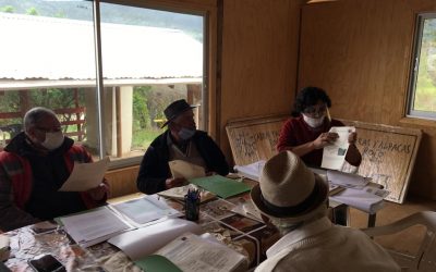 Programa Paisaje, Territorio y Desarrollo Rural da inicio a talleres participativos con comunidades de Roco y Lo Varas