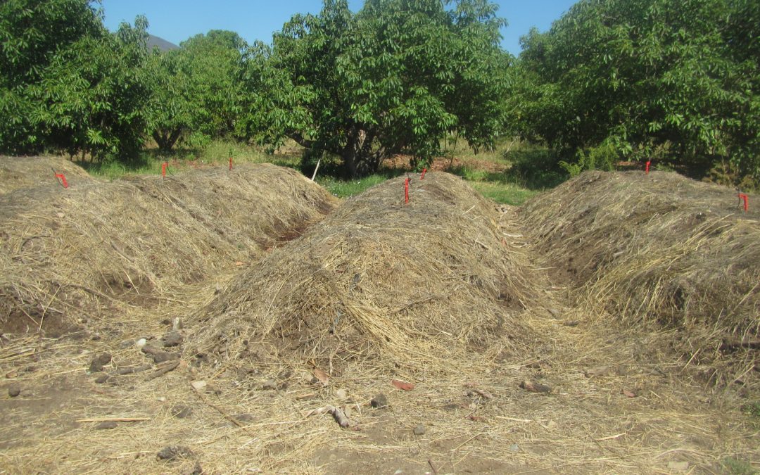 Programa RBS realizará  Seminario Sensibilización en el desarrollo participativo de compost enriquecido con consorcios microbianos intraprediales