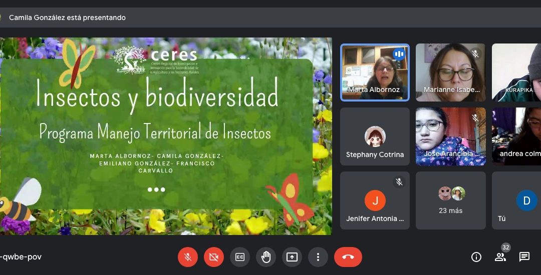 Ciencia, insectos y juegos: programa MTI despierta curiosidad de niños y niñas con lúdicos talleres