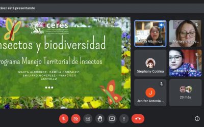 Ciencia, insectos y juegos: programa MTI despierta curiosidad de niños y niñas con lúdicos talleres