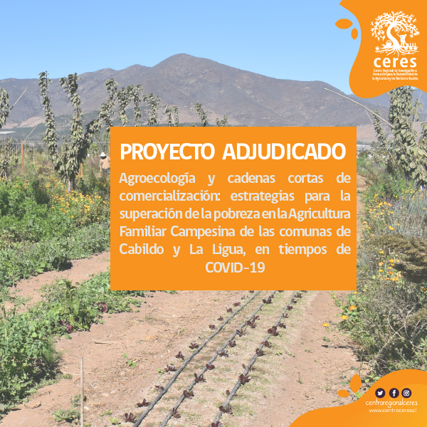 Programa MTI se adjudica proyecto Acción Social en apoyo de agricultores de Cabildo y La Ligua