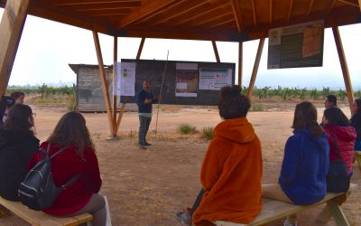 Centro Ceres lideraría agenda de investigación para la Intensificación Ecológica en Latinoamérica