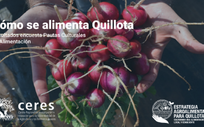 Inédito estudio indaga pautas culturales de alimentación de la comuna