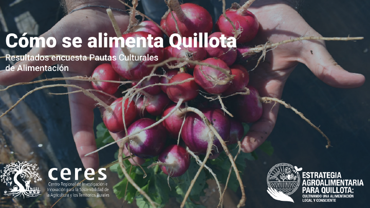 Inédito estudio indaga pautas culturales de alimentación de la comuna