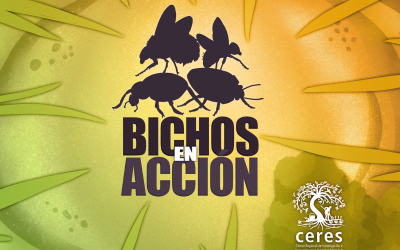 Centro Ceres producirá juego de mesa para educar sobre importancia de los insectos