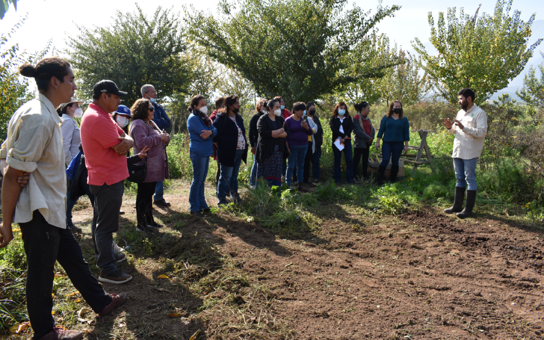 Ceres liderará proyecto FIC-R que diseñará modelo de agricultura sostenible para la región de Valparaíso