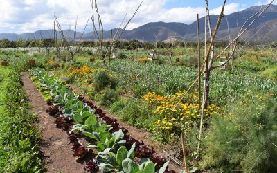 Región de Valparaíso será pionera en implementación de modelo sostenible de agricultura