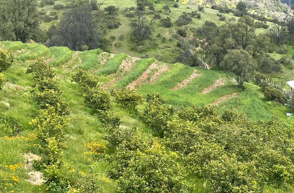 Iniciativa basada en la naturaleza busca mejorar uso eficiente del agua en sistemas agrícolas de la región