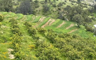 Iniciativa basada en la naturaleza busca mejorar uso eficiente del agua en sistemas agrícolas de la región