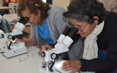 Adultos mayores de Quillota aprenden manejos sustentables para el control de plagas en sus huertas