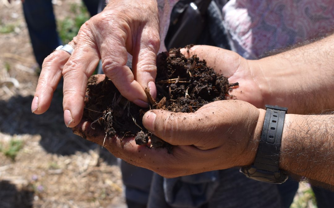Agricultores aprenderán sobre microbiología de suelo para mejorar captación de agua