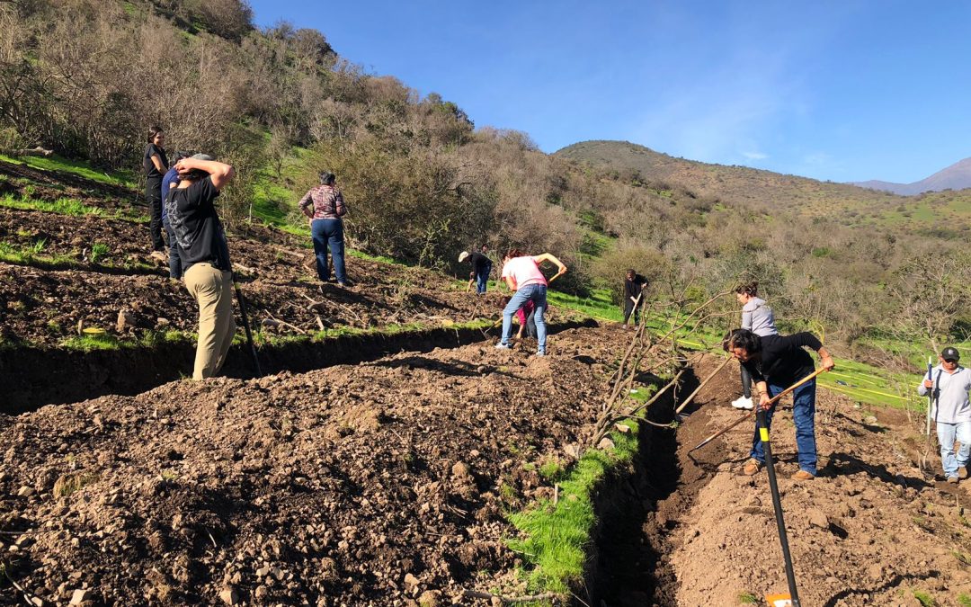 Técnica con Enfoque Geomorfológico: Recuperan laderas degradadas con uso de técnicas ancestrales