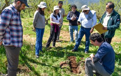 SAG y Centro Ceres impulsan metodología para evaluar condición biológica de los suelos en la agricultura orgánica