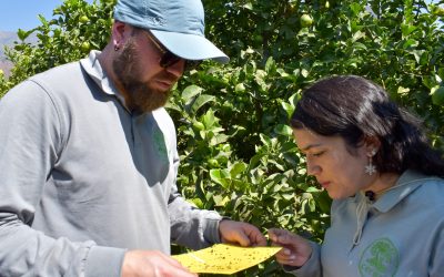 De la ciencia al campo, Centro Ceres impulsa la asesoría agrícola especializada para una agricultura sostenible