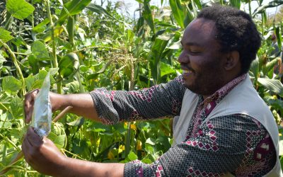 Investigación analiza la eficacia de saberes ancestrales y nuevas tecnologías como herramienta frente al cambio climático