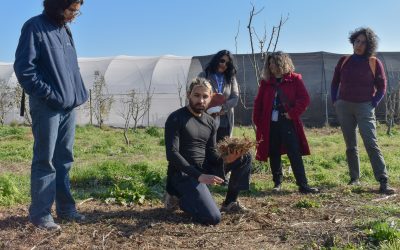 Huertas terapéuticas: Quillota impulsa una alianza entre salud mental, agroecología y comunidad