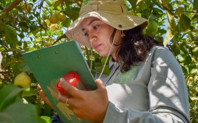 Columna de Opinión | Cultivemos biodiversidad: El campo debe prepararse para los desafiantes fenómenos ambientales